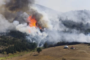 Palio travu, pa zapalio šljivik i šumu