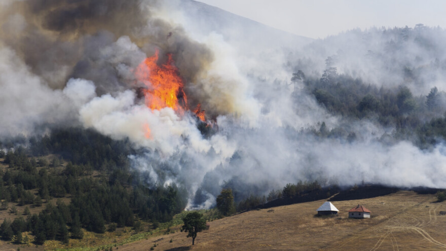 Palio travu, pa zapalio šljivik i šumu
