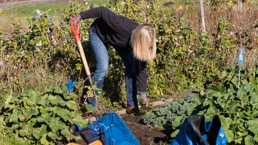 Evo što se radi u vrtu u listopadu