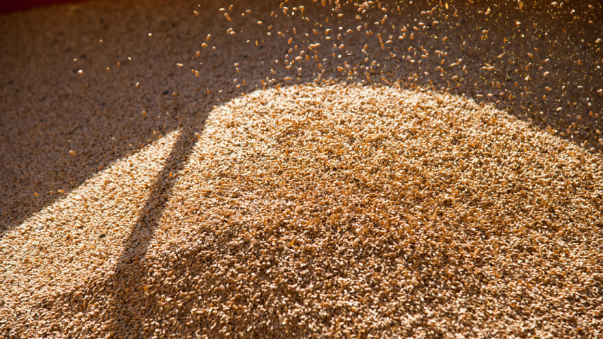 Cena jedne uljarice pala za 5,6 odsto, pšenica opet najtraženija roba