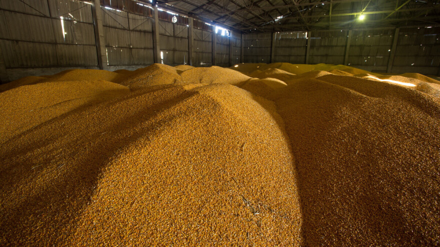 Koja pravila poštivati kod skladištenja žitarica?