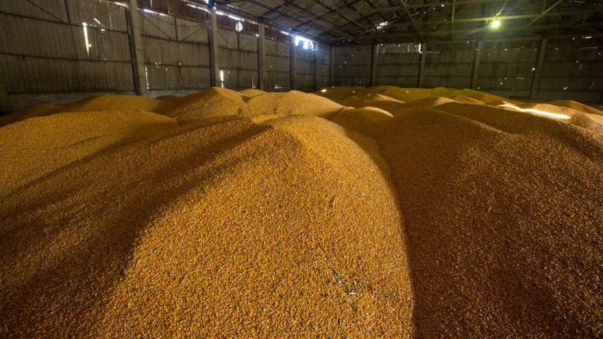 Pravilna ventilacija žitarica obezbeđuje ispravno skladištenje
