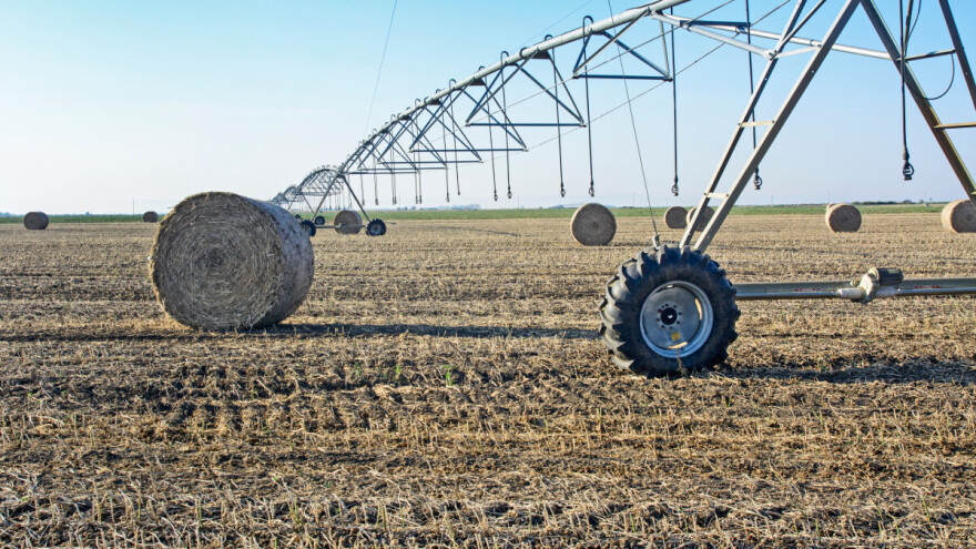 DRI: Uloženo više od 58 miliona evra u sisteme za navodnjavanje, veliki broj nije pušten u upotrebu