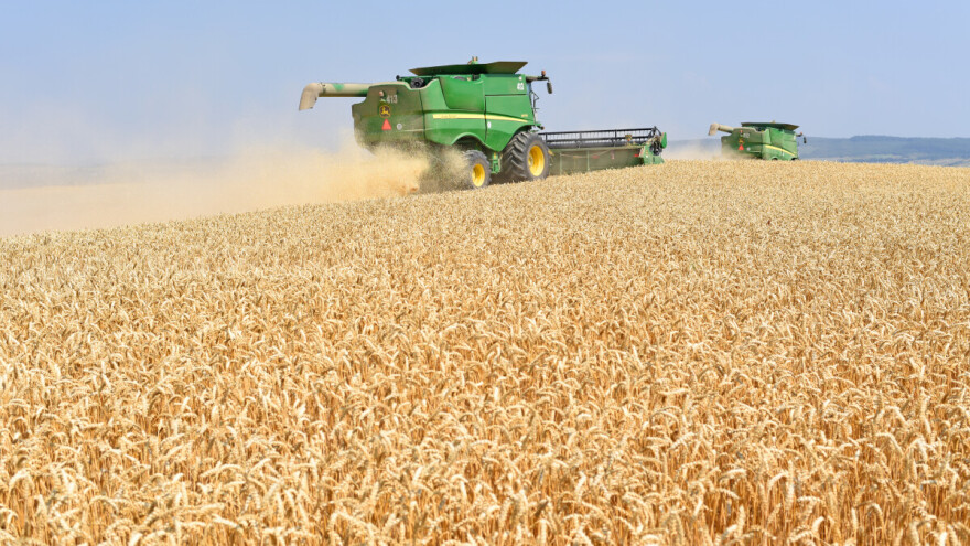 Objavljena treća prognoza za prinos žitarica i uljarica u Evropi