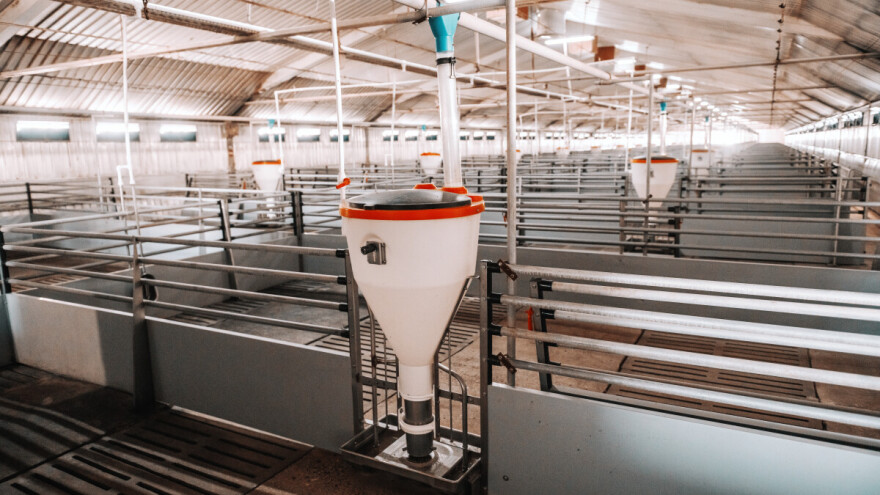 Bankrotirala mega farma svinja - investitori izgubili gotovo 80 miliona evra