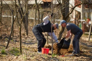 Jesenja ili prolećna sadnja voćaka: Koja je bolja u našim klimatskim uslovima?