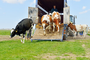 Ministarstvo objavilo detaljna pojašnjenja o poticajima u okviru ruralnog razvoja