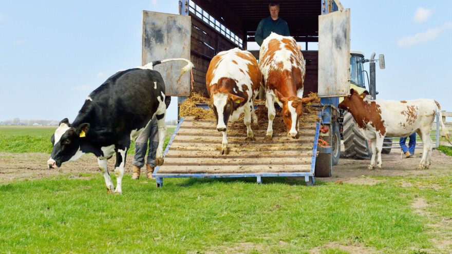 Ministarstvo objavilo detaljna pojašnjenja o poticajima u okviru ruralnog razvoja