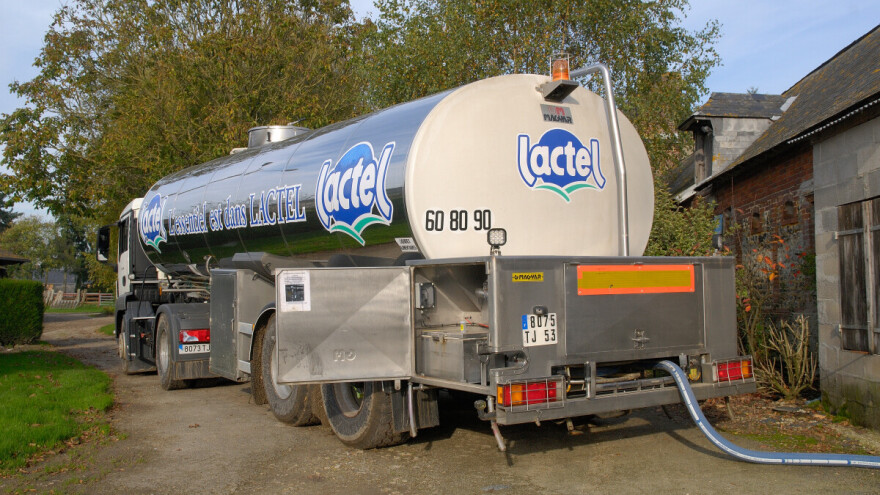 Najveća svetska mlečna kompanija smanjuje otkup mleka u jednoj evropskoj zemlji