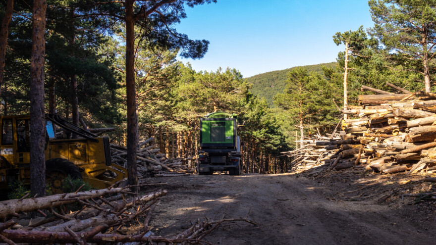 Uvođenje novih pravila za praćenje porekla drveta