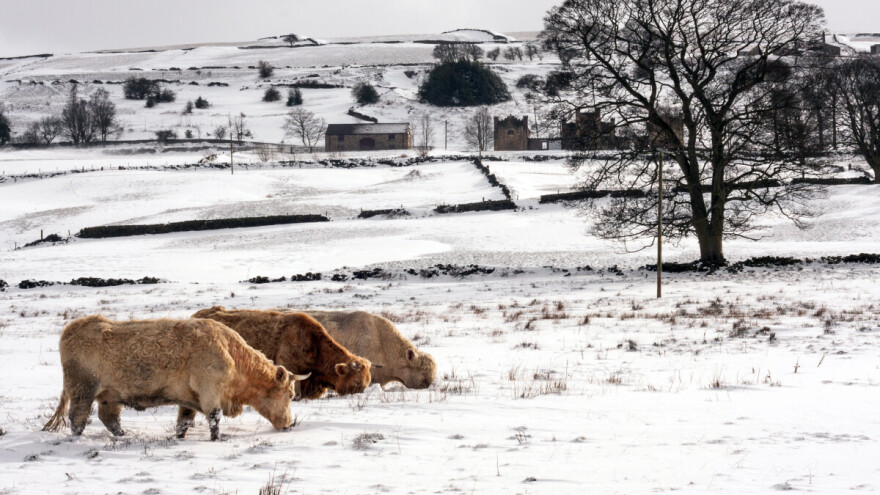Ako nije januar u snijegu, teško njivi, dolu i brijegu
