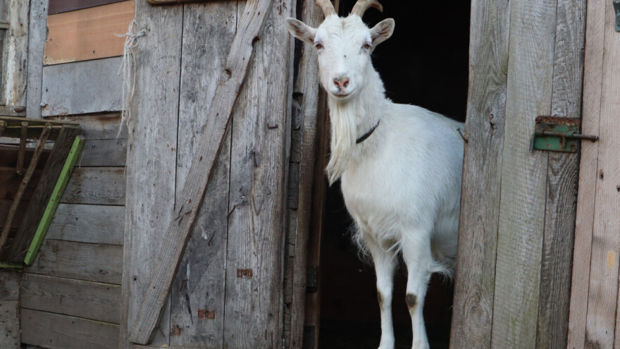 Napolje će samo ko mora: Golomrazica i minusi širom zemlje