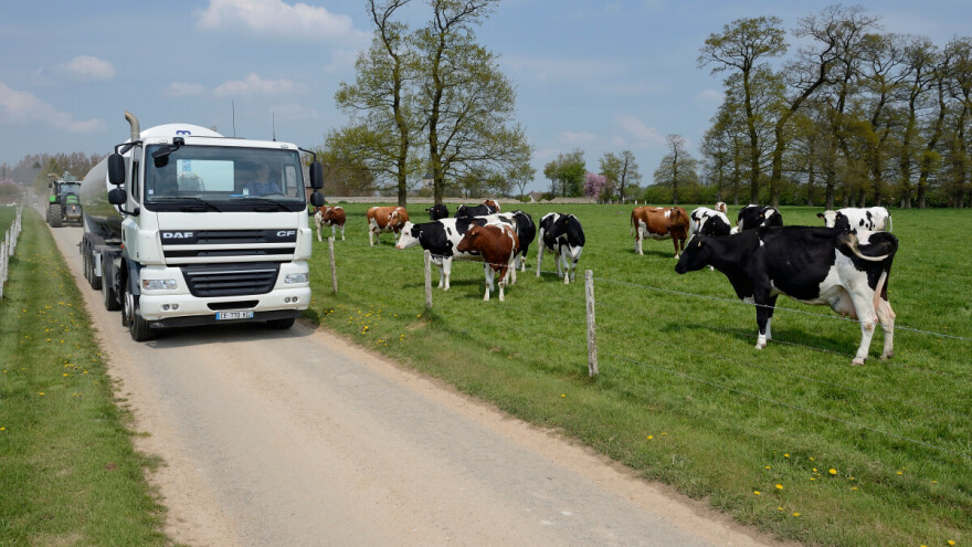 Raste otkup mlijeka, evo podataka za prvih osam mjeseci 2024.