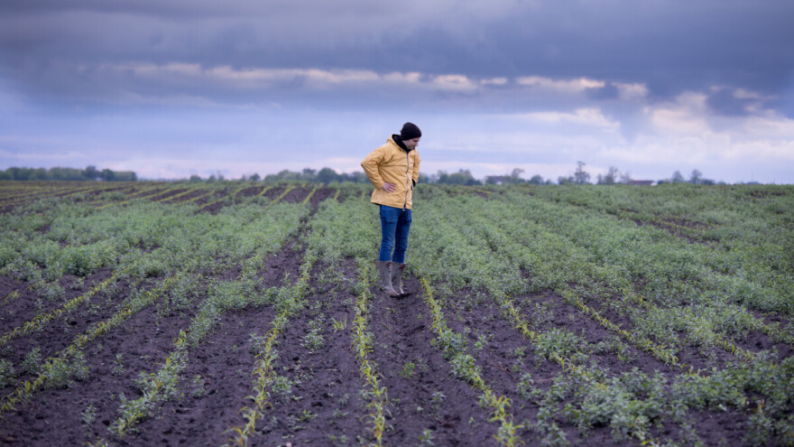 Kad u maju mnogo sijeva, mudri seljak neka pjeva?