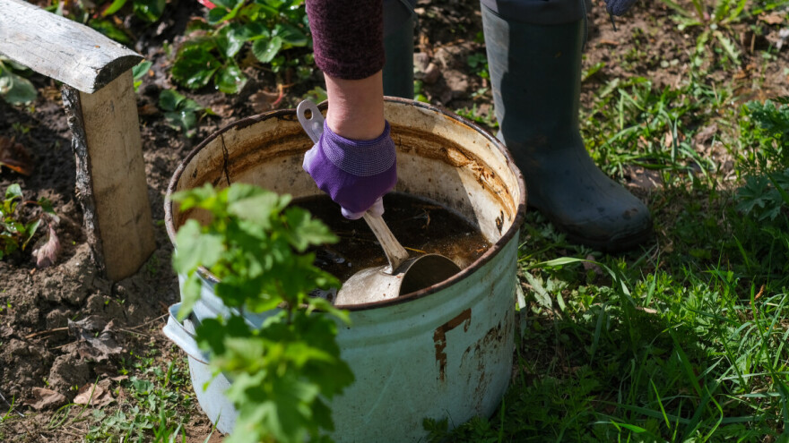 Zašto je kompostni čaj brži i efikasniji od običnog komposta? Evo recepta
