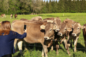 Tik tak otkucava sat - koliko je još vremena za nominaciju na RuralFoto natječaj?