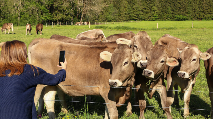 Tik tak otkucava sat - koliko je još vremena za nominaciju na RuralFoto natječaj?