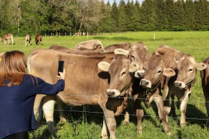 Tik tak otkucava sat - koliko je još vremena za nominaciju na RuralFoto konkurs?