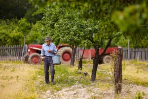 Jedan kanton po proizvodnji voća, druge ostavio daleko iza sebe