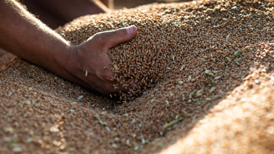 RZS: Cene poljoprivrednih proizvoda porasle 7,5 odsto za godinu dana