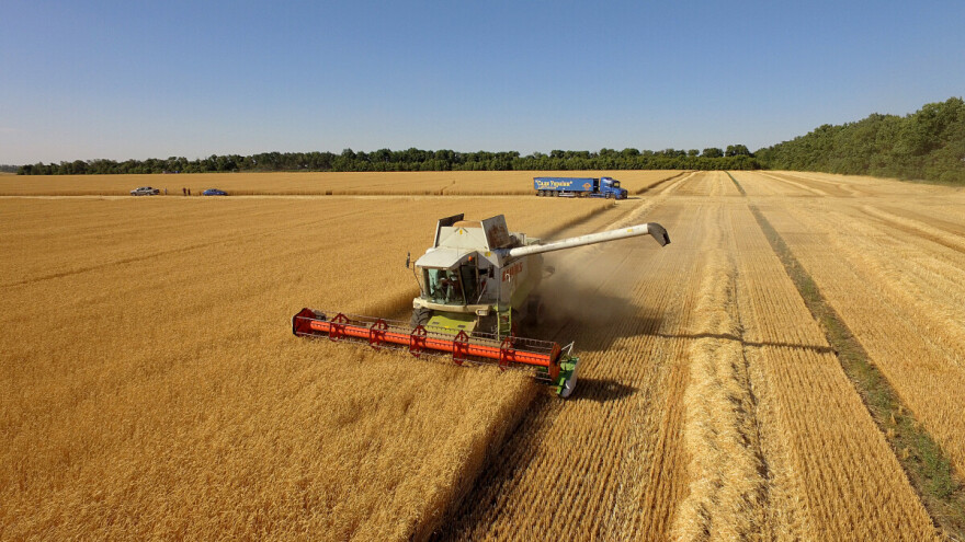 Žetva pšenice u Ukrajini počet će dvije sedmice ranije, u Rusiji proglašeno vanredno stanje