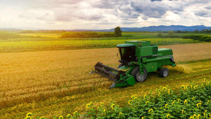 Rastu cene žitarica, ali su i dalje jeftinije one iz crnomorskog regiona