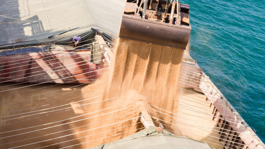 Cene žitarica na berzama pod uticajem situacije u Rusiji?