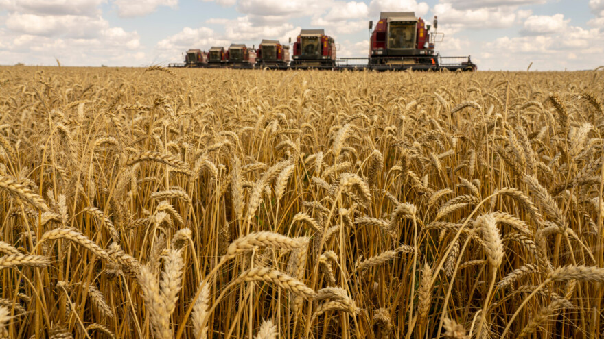 Rusija suočena s daljnjim padom proizvodnje žitarica