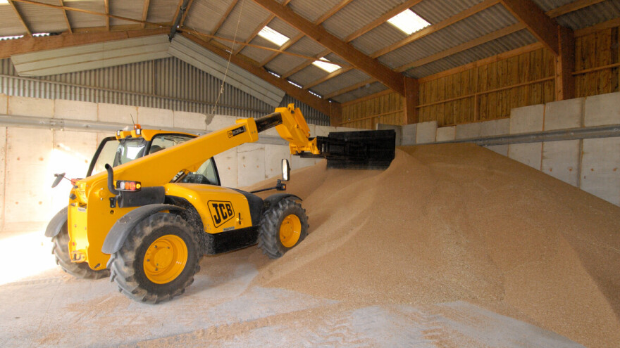 Počinju rasti cijene žitarica - što je potaknulo ovaj trend?