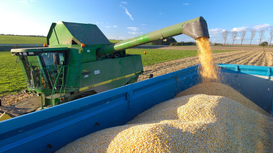 Veliki pad cijena na tržištu žitarica - srušili ih prvi podaci o sjetvi i Trumpove prijetnje carinama