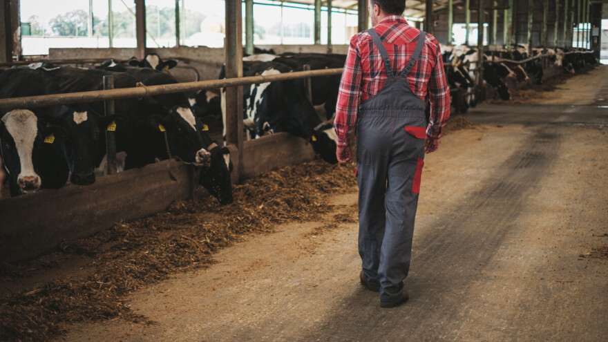 Apel za pomoć mljekaru iz Dervente: Porodica s četvero djece na rubu egzistencije