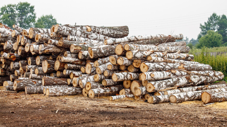 Ministar Minić: Cijene drveno-šumskih sortimenata će rasti, ali ne u mjeri kako se nagađalo