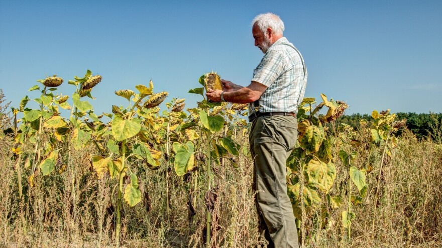 Više od polovine Evrope i Mediterana pogođeno sušom u posljednja četiri mjeseca
