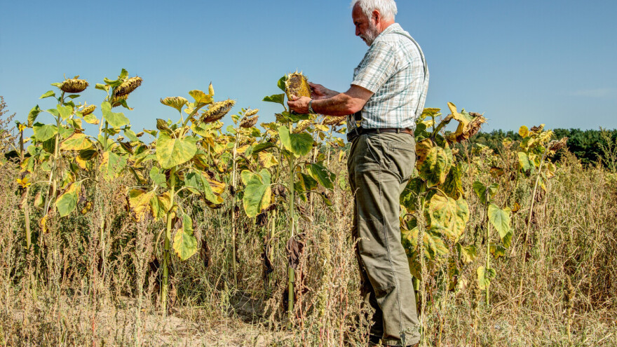 Više od polovine Evrope i Mediterana pogođeno sušom u poslednja četiri meseca