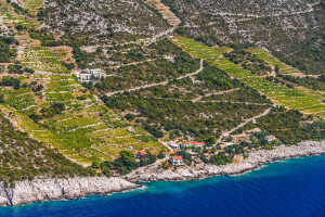 Apeli urodili plodom? Pelješac ipak neće izgubiti vinograde zbog ceste?