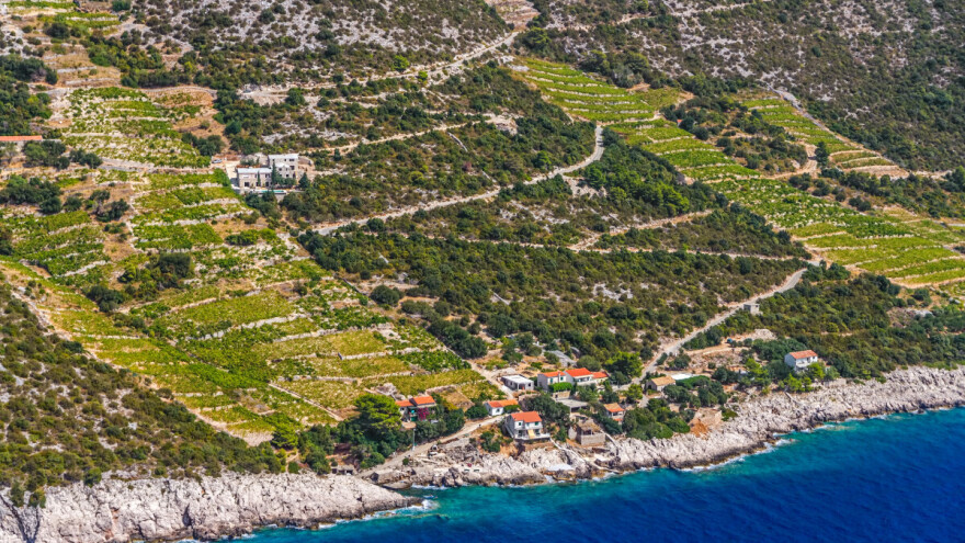 Apeli urodili plodom? Pelješac ipak neće izgubiti vinograde zbog ceste?