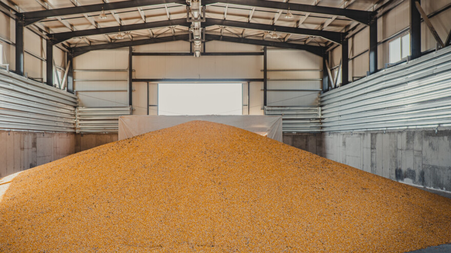 Smanjeno trgovanje na Produktnoj berzi, uz pad cene kukuruza i pšenice