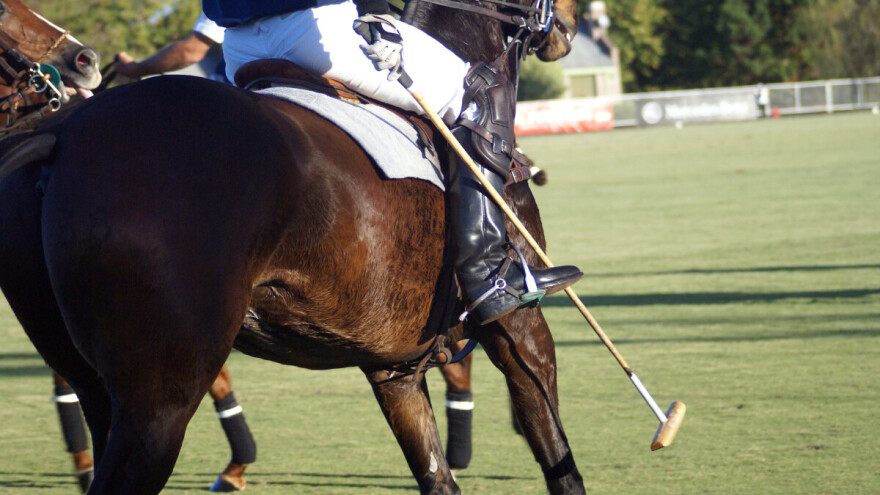 Argentinci stvorili genetski modificirane konje za polo