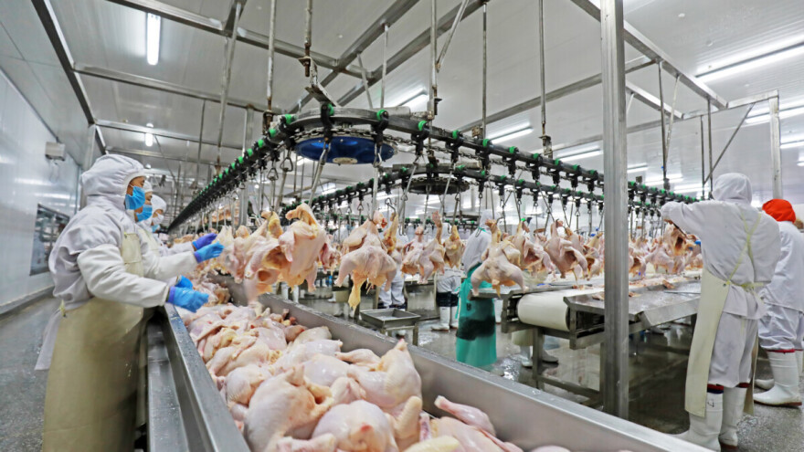 Ukrajinski peradarski div širi se prema EU: Preuzima klaoničke kapacitete na zapadu zemlje