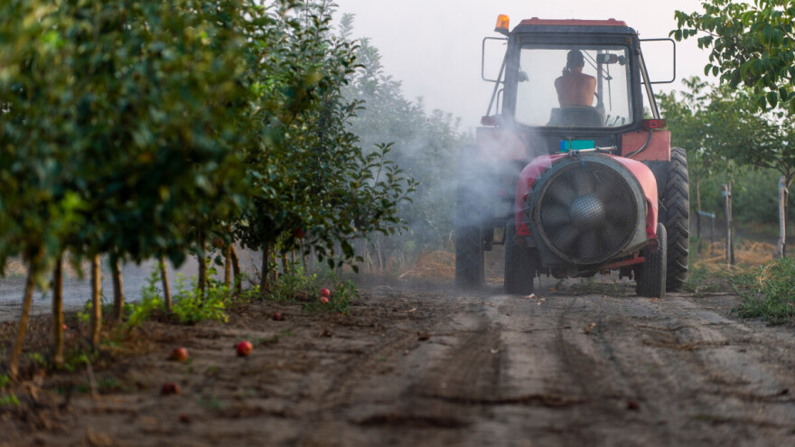 Hrana u EU i dalje sigurna: Gotovo 99 posto uzoraka u skladu je s pravilima o pesticidima