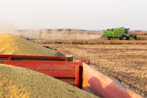 Od malih OPG-ova do agro divova: Tko drži hrvatsku proizvodnju soje?