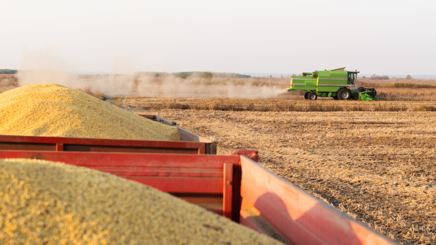 Od malih OPG-ova do agro divova: Tko drži hrvatsku proizvodnju soje?