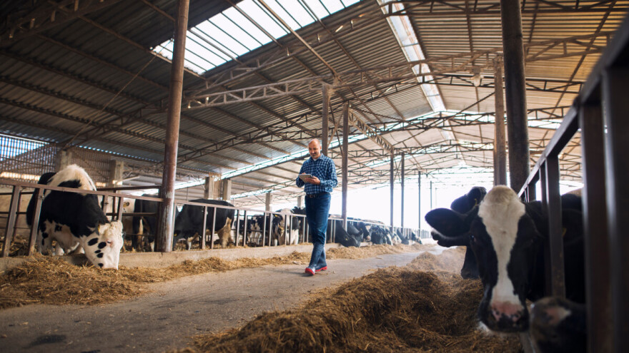 Mljekari u Republici Srpskoj nisu obavezni evidentirati promet preko fiskalne kase