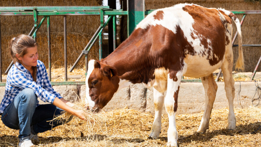 Da li smo svesni: Bez žena nema poljoprivrede, ali ni života!