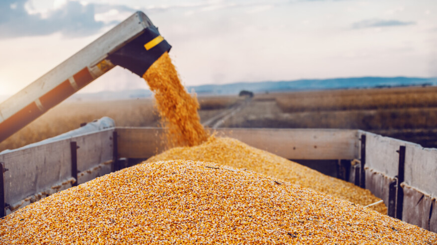 Lažnim obećanjima o izvozu žitarica trojac oštetio OPG za gotovo 70.000 eura