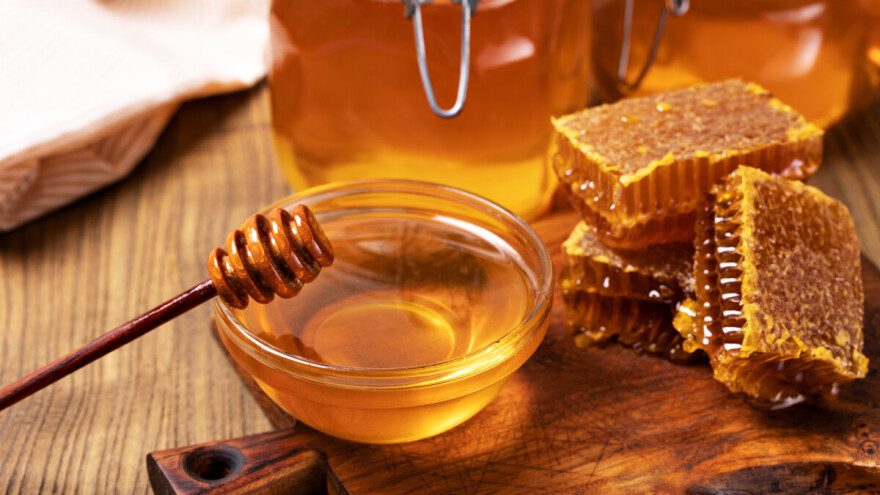 Dani meda u Vukovaru: edukacija, api-kozmetika i promocija domaćeg meda