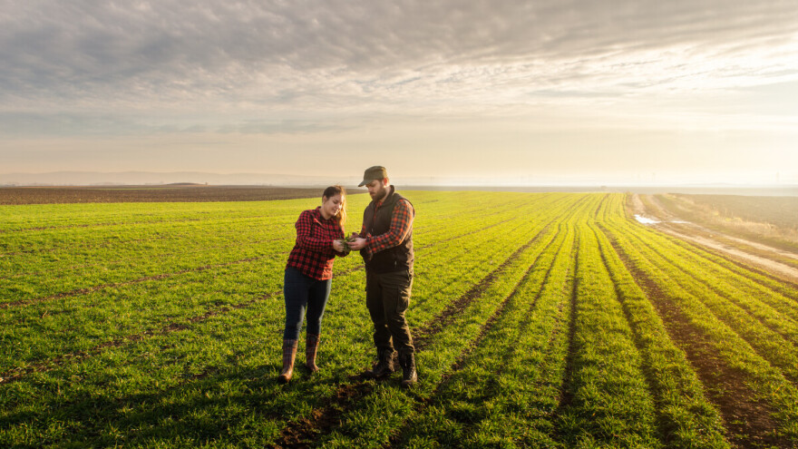 Povoljni uslovi za ozima žita: Šta nam donosi ostatak decembra?