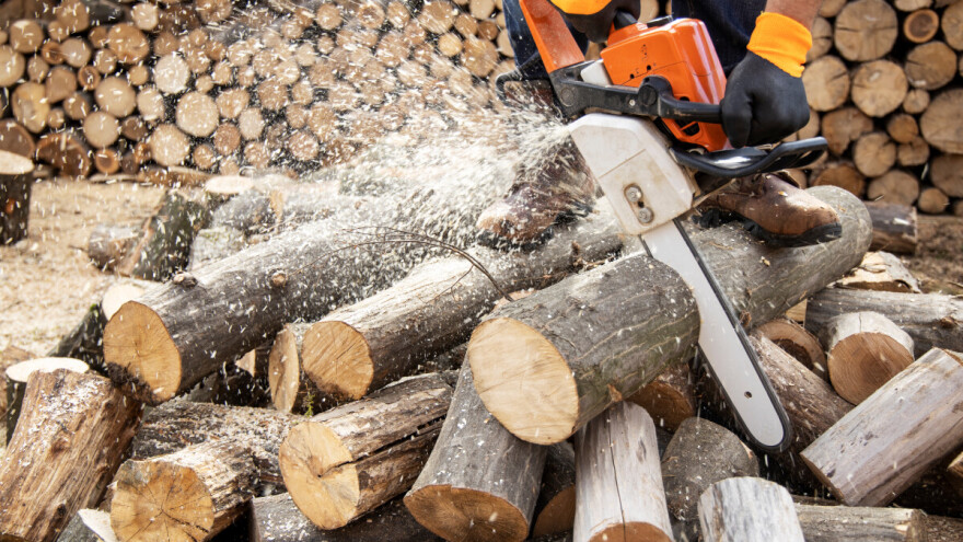 Zabrane rada i kazne zbog nelegalne prerade drveta