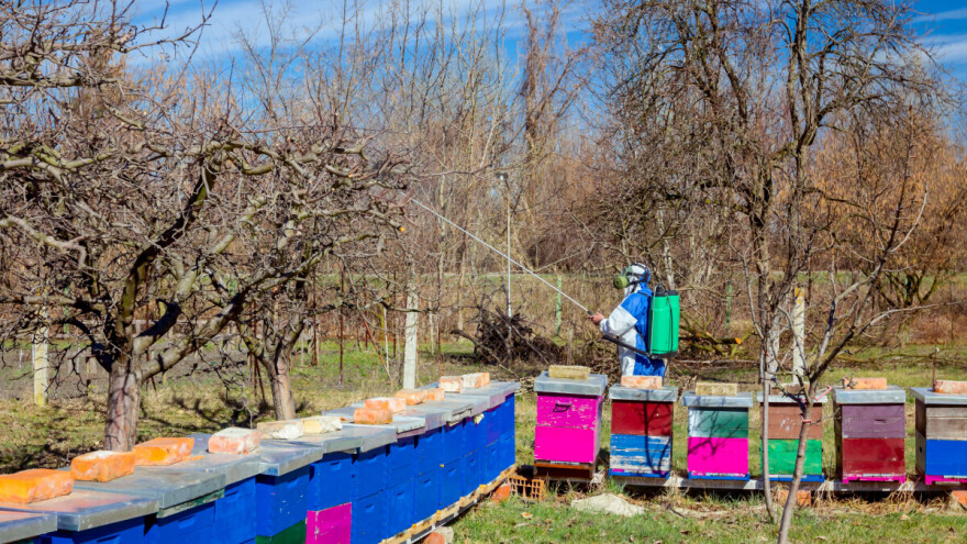 Povećan rizik od trovanja pčela u ovom periodu. Kojih mera se treba pridržavati?