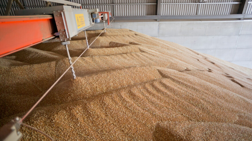 Cena kukuruza u padu, pšenice u blagom porastu. Pasivnost na tržištu soje